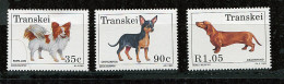(cl 23 - P2) Afrique Du Sud  - Transkei ** N° 299 à 302 Sauf 300 -(ref. Michel Au Dos) Chiens  - - Unused Stamps