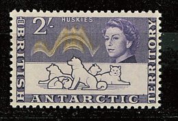 (cl 23 - P6) Antarctique Britannique ** N° 11 (ref. Michel Au Dos)- Chiens - Neufs