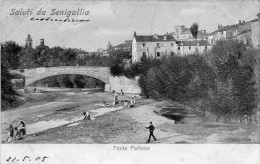 CARTOLINA D'EPOCA DI SENIGALLIA PONTE PORTONE COM'ERA INIZI 900  RARA!! VIAGGIATA NEL 1905 - Senigallia