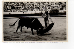 Corrida - Bayonne - Corridas