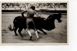 Corrida - Bayonne - Corridas