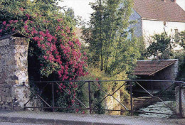 CPM  Avernes Le Lavoir - Avernes