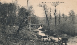 ( CPA 22 )  CALLAC  /  La Vallée De La Bossière  - - Callac