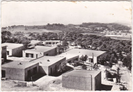 Delcampe - CPSM - GF - Le Pradet Près De Toulon (Var) Le Village De Vacances V. V. F. - Le Pradet