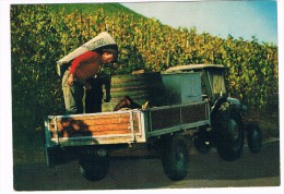 TRAK-5  Les Vendanges A La Moselle ( Avec Tractor) - Traktoren