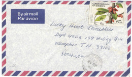 REPUBBLICA DOMENICANA - Commonwealth Of DOMINICA - 1983 - Air Mail - Cacao, Cocoa - Viaggiata Per Menphis, USA - Dominica (1978-...)