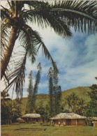 NOUVELLE CALEDONIE,NEW CALEDONIA,souveraineté Française,océan Pacifique,prés Australie,maison Du Pays,village,paillotte - Nouvelle Calédonie