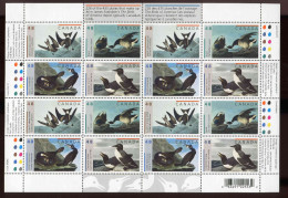 Canada **   N° 1988 à  1991 - Oiseaux  De James  Audubon - Feuillet  - - Blocs-feuillets