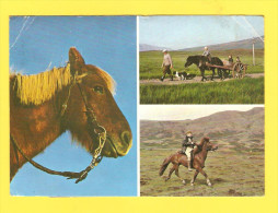 Postcard - Iceland    (V 23053) - Iceland