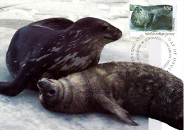 AUSTRALIA MAXICARD ANTARCTIC TERRITORY WEDDELL SEAL ANIMAL $0.95 STAMP DATED 14-05-1992 CTO SG?READ DESCRIPTION!! - Covers & Documents