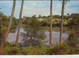 Moisdon-la-Rivière.. L'Etang De La Forge - Moisdon La Riviere