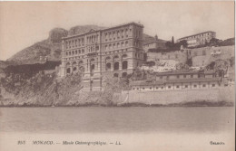 MONACO MUSEE OCEANOGRAPHIQUE - Museo Oceanografico