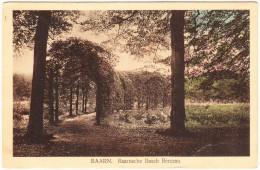 Baarn Baarnsche Bosch 'Berceau' - (1928)   - Utrecht / Nederland - Baarn