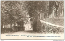BOUILLON ..--  L´ Allée Du Château De L´ Esplanade . - Bouillon