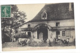 LVA1790 - Environ De Salies-de-Béarn Une Ferme Vaches - Bearn