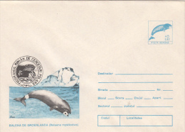 3881- GREENLAND WHALE, COVER STATIONERY, 1994, ROMANIA - Walvissen