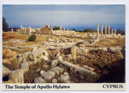 Chypre--The Temple Of Appollo  Hylates Cpsm 15 X 10-- - Cyprus