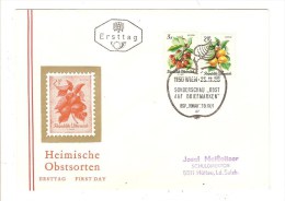 AUTRICHE - AUSTRIA - OSTERREICH - ENVELOPPE PREMIER JOUR - FDC - Maschinenstempel (EMA)