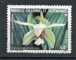 NOUVELLE CALEDONIE  N° 520  (Y&T)   (Oblitéré) - Used Stamps