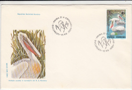 369FM- PELICANS, BIRDS, COVER FDC, 1984, ROMANIA - Pellicani