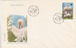 371FM- PELICANS, BIRDS, COVER FDC, 1984, ROMANIA - Pélicans