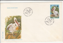 372FM- PELICANS, BIRDS, COVER FDC, 1984, ROMANIA - Pellicani