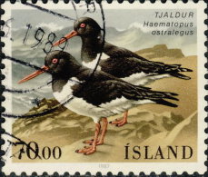 Islande 1987. ~ YT 623  - Oiseaux : Haematopus Ostralegus - Gebraucht