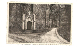 - 1878 -       GREZ DOICEAU  Un Coin Du Bois De Beausart - Graven