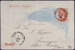 BRESIL - CARTE ENTIER POSTAL DE PARANA - 1895 - Postal Stationery