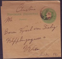 ARGENTINA - NEWSPAPER WRAPPER TO AUSTRIA - 1896 - Postal Stationery