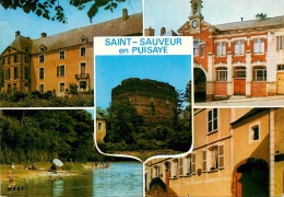 CPSM Saint Sauveur En Puisaye    L1768 - Saint Sauveur En Puisaye