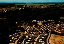 77-LE CHATELET EN BRIE.."LA MUSSINE" PARC RESIDENTIEL AU LOIN LE VILLAGE...CPM - Le Chatelet En Brie