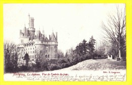 * Antoing - Tournai (Hainaut - La Wallonie) * (Edit E. Lespinne) Chateau, Kasteel, Vue De L'entrée Du Parc, Rare, TOP - Antoing