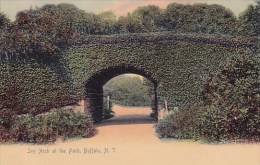 Ivy Arch At The Park Buffalo New York - Buffalo