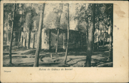 BELGIQUE BEERSEL / Ruines Du Château / - Beersel