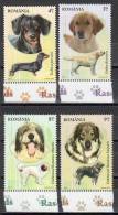 Romania 2012 - Dog Breeds - 4 Val - Unused Stamps