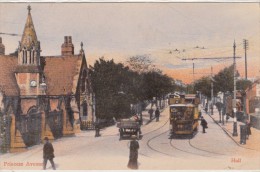 Hull, Princess Avenue. Post Card Inused - Hull