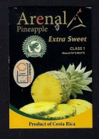# PINEAPPLE ARENAL Fruit Tag Balise Etiqueta Anhanger Ananas Pina Costa Rica - Fruit En Groenten