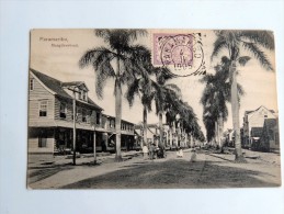 Carte Postale Ancienne : SURINAM : PARAMARIBO , Maagdenstraat , Stamp 1905 - Surinam