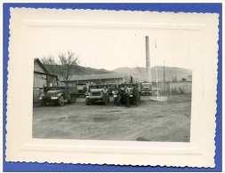 Photo - Véhicule Half Track Et GMC En Algérie (gendarme ??) - AFN - Militaria - Vehicles