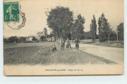 CHILLEURS AUX BOIS  - Route De Courcy. - Autres & Non Classés