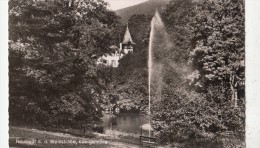 BF32785 Neustadt A D Weinstrasse Konigsmuhle Germany  Front/back Image - Neustadt