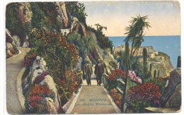 CPA Monaco Jardins Exotiques - Giardino Esotico