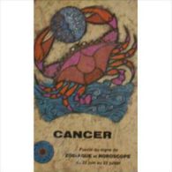 Puzzle 125 Pieces Signe Du Zodiaque Cancer  (boite 14x9 Cm) - Puzzle Games