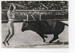 CORRIDA : Un Banderillo En Action - Corridas