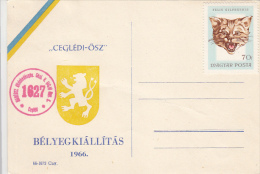 CAT STAMP, PHILATELIC EXHIBITION, SPECIAL POSTCARD, 1966, HUNGARY - Cartas & Documentos