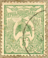 Nelle CALEDONIE :  Le Cagou - Dentelé 13 1/2 X 14 - Used Stamps