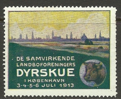 DENMARK Dänemark Danmark 1913 Advertising Reklamemarke Exhibition Ausstellung * - Ungebraucht