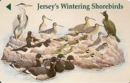 CARTE-MAGNETIQUE-GB-JERSEY-WINTERING SHOREBIRDS- TBE- - Sperlingsvögel & Singvögel