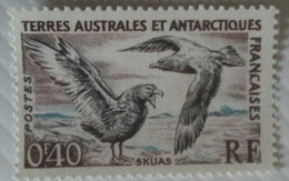 TAAF  -  Skuas - Neufs